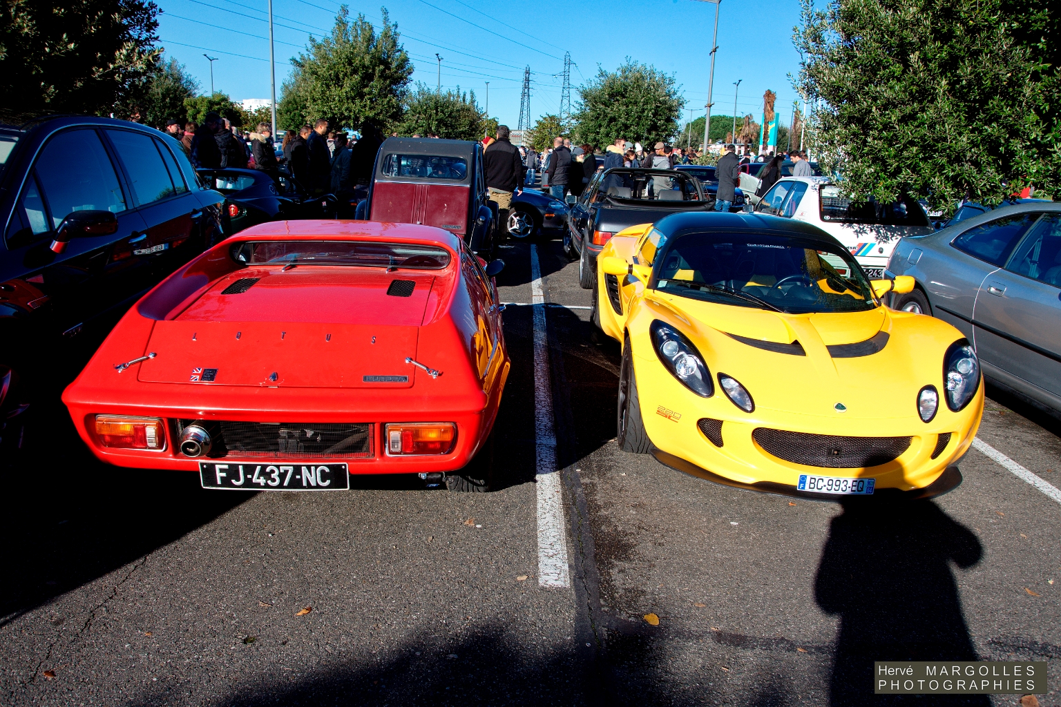 Lotus Europa et Exige.jpg